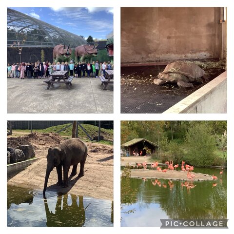 Image of Blackpool Zoo