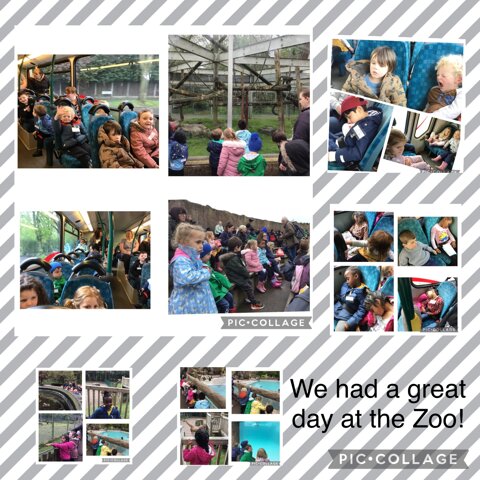 Image of Our Trip to the Zoo!
