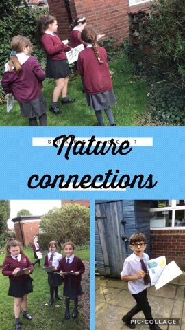 Image of Exploring nature connections 