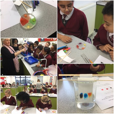 Image of Science afternoon at Loreto
