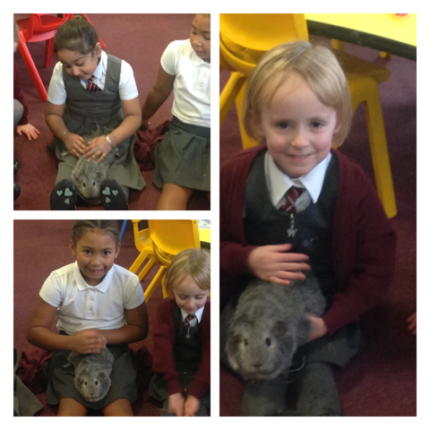 Image of Year1S with Misty and Nibbles