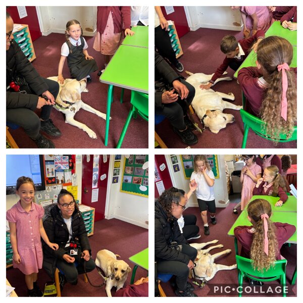 Image of Keeley and Dogger came to talk to us about the great job that guide dogs do ! 