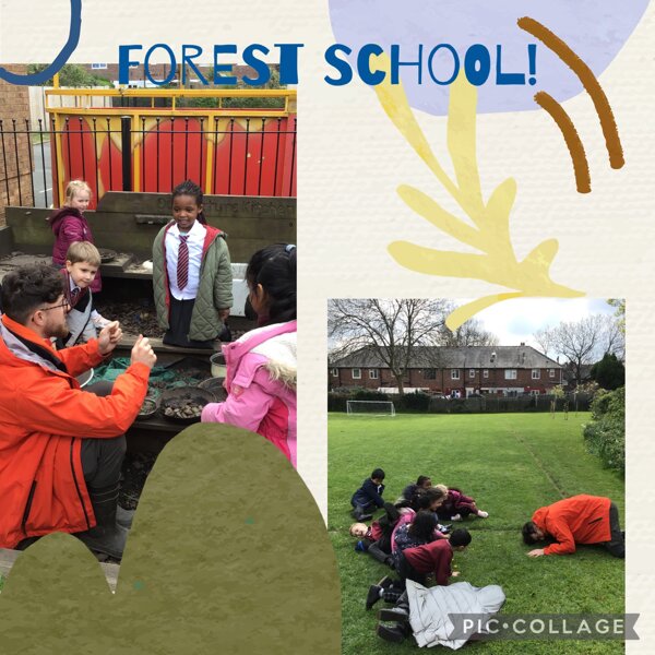 Image of Forest School!