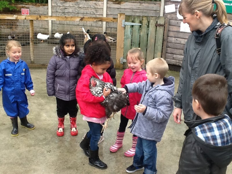 Image of Our Trip To Reddish Vale Farm
