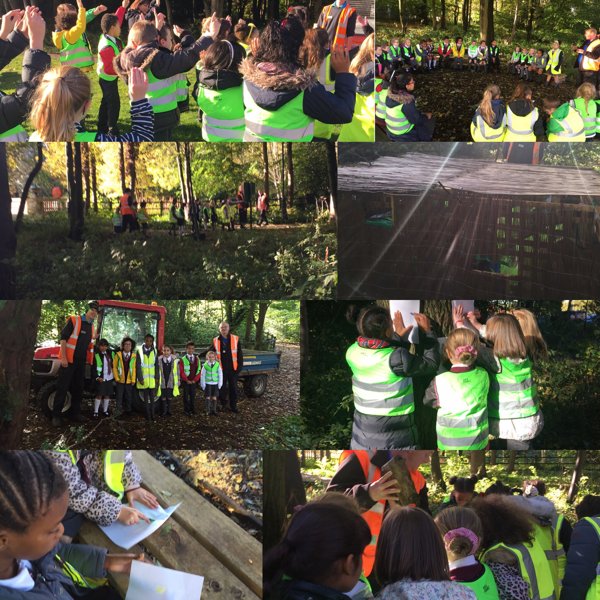Image of Trafford Centre Forest Visit Year 4