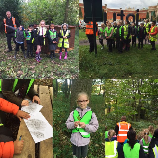 Image of Trafford Centre Forest Visit Year 5