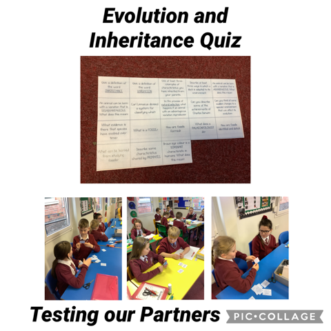 Image of Inheritance and Evolution quizzing 