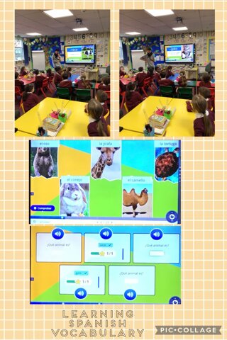 Image of Learning the names of animals in Spanish!