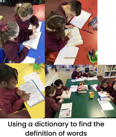 Image of Dictionary Work!