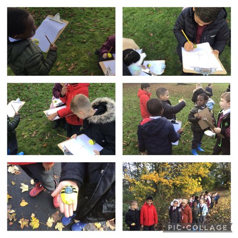 Image of Geography Fieldwork in Year 1