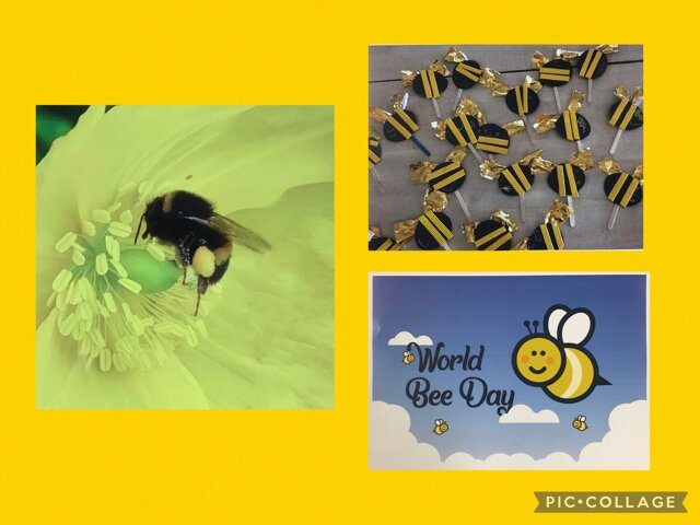 Image of World Bee Day 20th May 