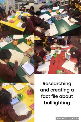 Image of Researching and creating fact files about bullfighting in English!