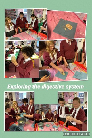 Image of Exploring the Digestive System 1