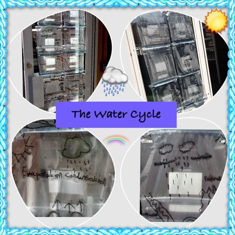 Image of Water Cycle Bags