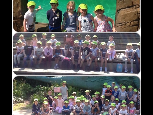 Image of Early years trip to the zoo ! 