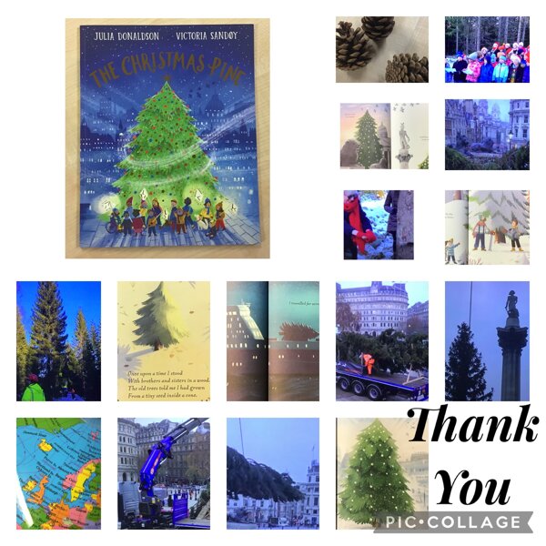 Image of The Thank You Gift