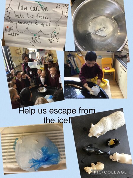 Image of Our Science investigation!