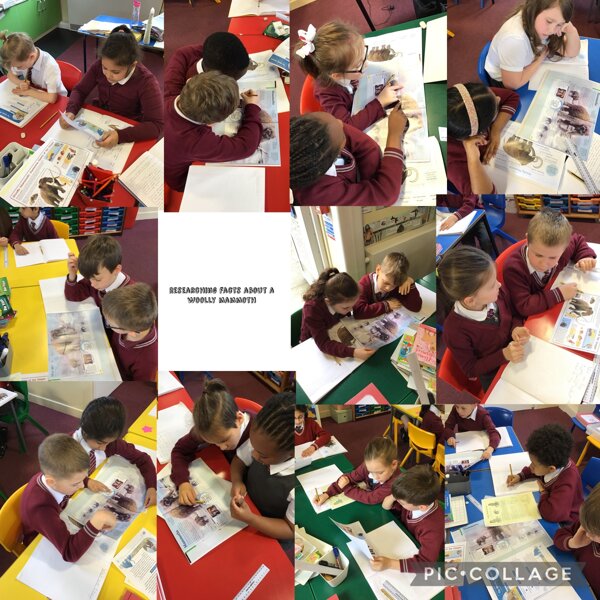 Image of Researching facts about a Woolly Mammoth