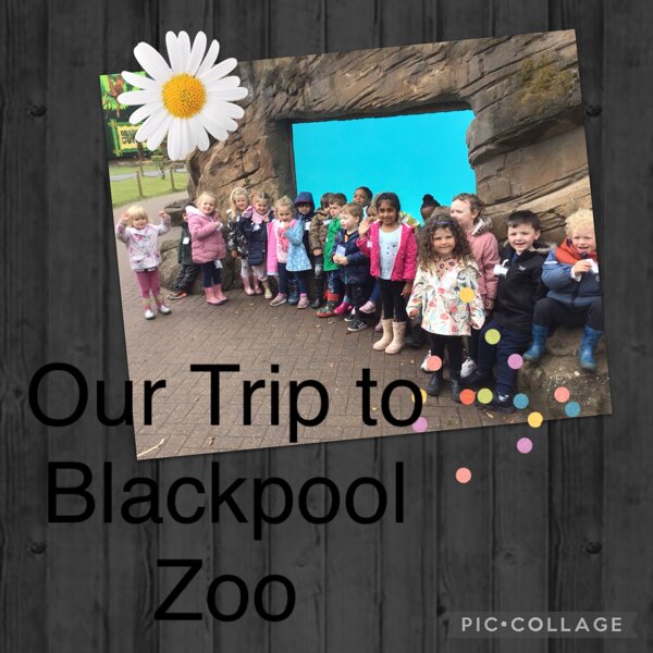 Image of Our First Big School Trip!