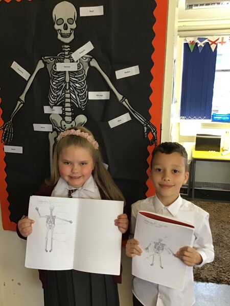 Image of Science check in task - our skeletons !