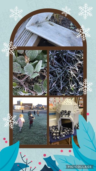 Image of We have been learning about Winter!