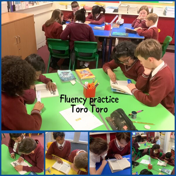 Image of Fluency practice Toro Toro