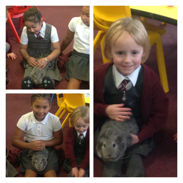 Image of Year1S with Misty and Nibbles