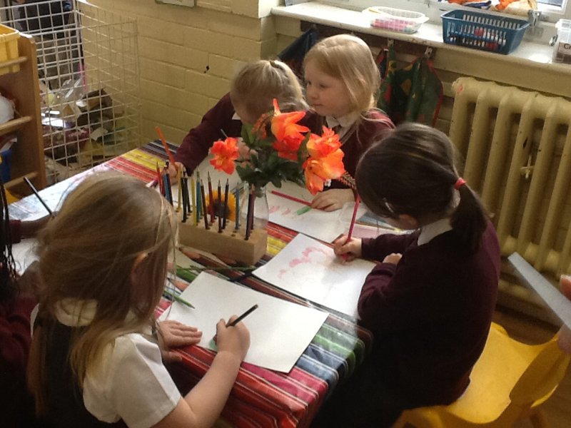 Image of Observational Drawings For Our Garden Centre.